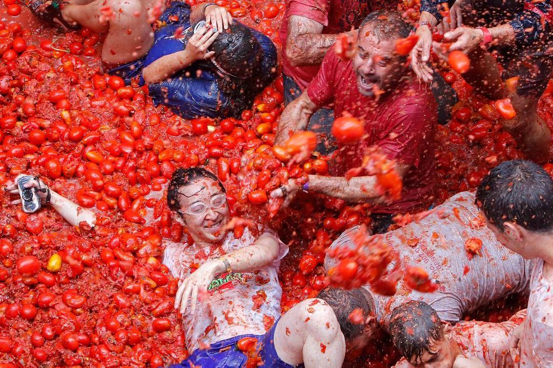 Tomatina Header